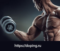 Продвижение сайта спортивного питания